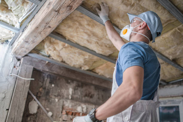 Best Eco-Friendly Insulation in Argentine, MI