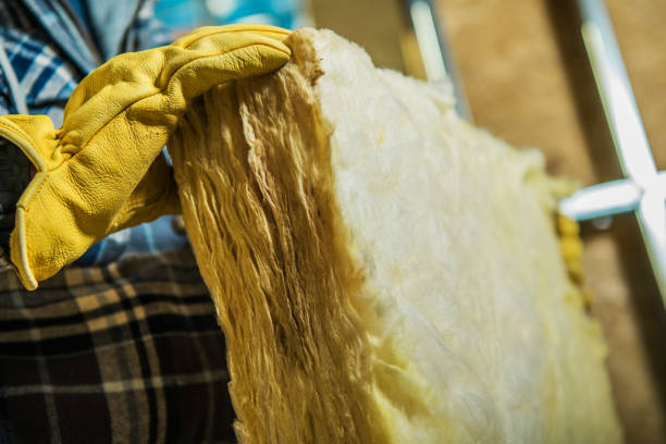 Best Residential Insulation in Argentine, MI