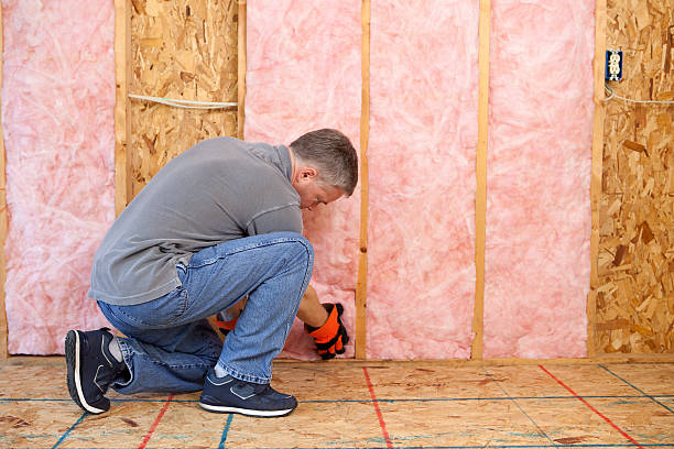 Best Spray Foam Insulation in Argentine, MI