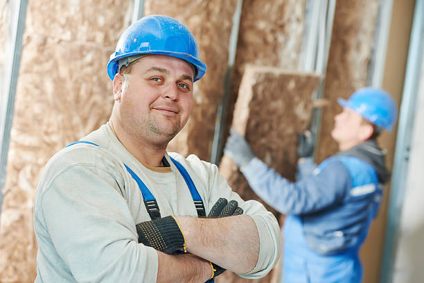 Best Specialized Insulation Services in Argentine, MI
