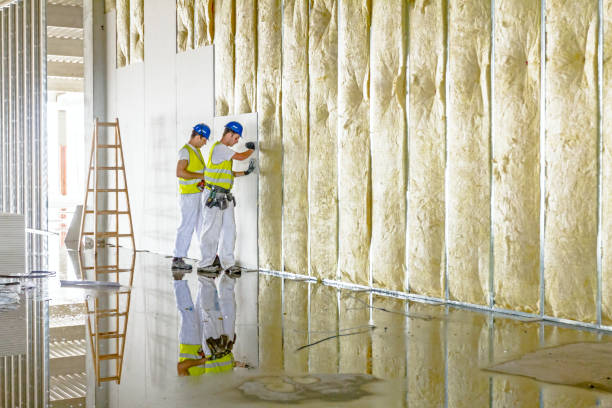 Best Energy Efficiency Insulation in Argentine, MI